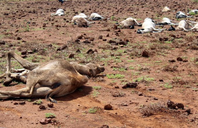 droogte in kenia